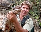 Steve Irwin