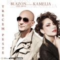blazon-kamelia_486792ae5c5d5feba8aba169e4093f7e