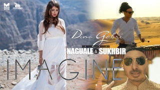 dina-gabri-imagine_51ea9f81d34e73463afb10fe151bca6b