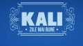 kali_7638bf9ad2c0cb28a9f715424f6e1293