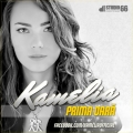 kamelia-primaoara_dac97f5188baace9aa89485ff9098c1c