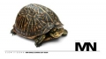 marius-nedelcu-slow-it-down_4793e732ef4e7a58dfb5d63d1ae5686d