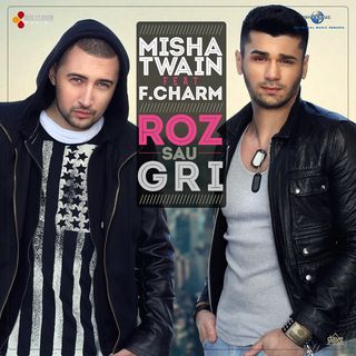 misha-twainf-charm-roz-sau-gri_862234bb822681849e5ea686810e90fc
